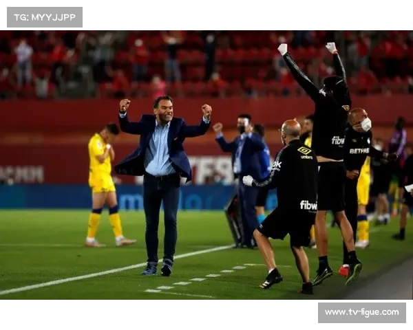 “西班牙人vs巴列卡诺12黄2红，裁判尺度严格引双方抗议”