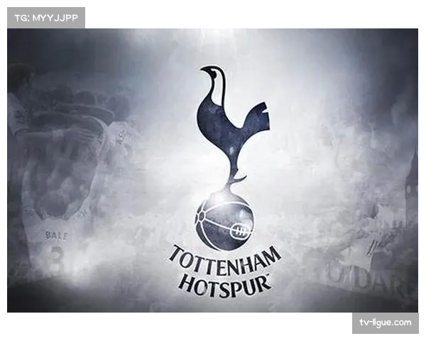 评论：加密货币赞助潮退去后，英超俱乐部寻找新的胸前广告合作伙伴